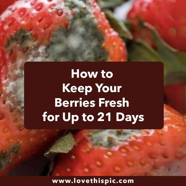 How to Keep Your Berries Fresh for Up to 21 Days