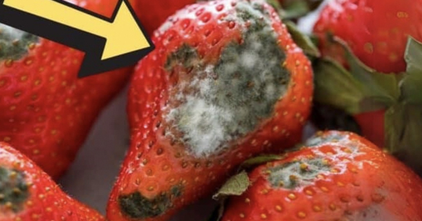 How to Keep Your Berries Fresh for Up to 21 Days - picture 2