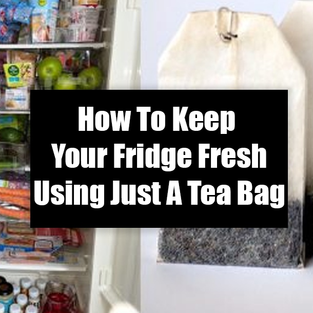 How To Keep Your Fridge Fresh Using Just A Tea Bag