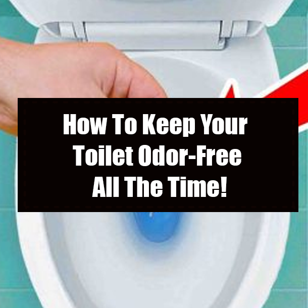 How To Keep Your Toilet Odor-Free All The Time!