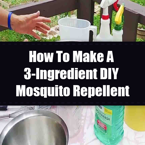 How To Make A 3-Ingredient DIY Mosquito Repellent