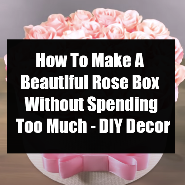 How To Make A Beautiful Rose Box Without Spending Too Much - DIY Decor