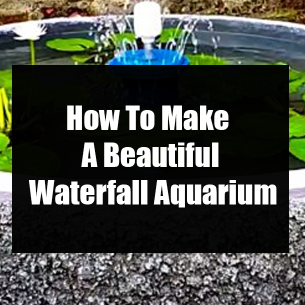 How To Make A Beautiful Waterfall Aquarium