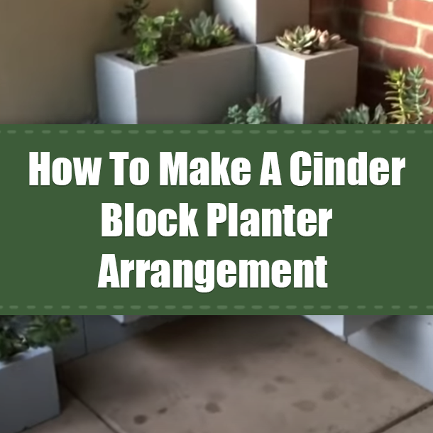 How To Make A Cinder Block Planter Arrangement
