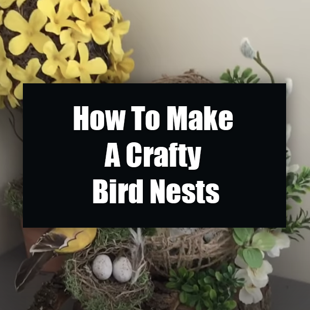 How To Make A Crafty Bird Nests