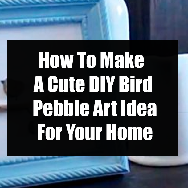 How To Make A Cute DIY Bird Pebble Art Idea For Your Home