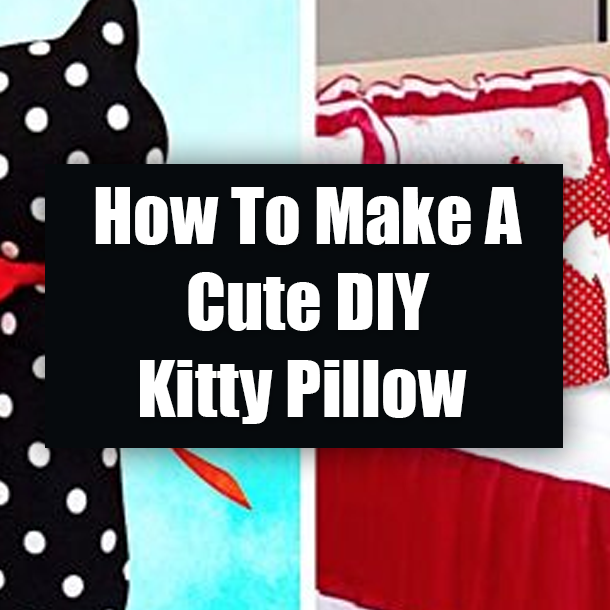 How To Make A Cute DIY Kitty Pillow