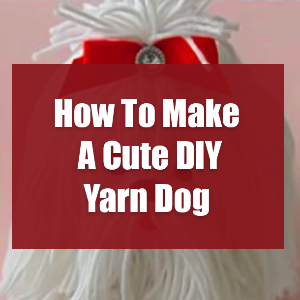 How To Make A Cute DIY Yarn Dog