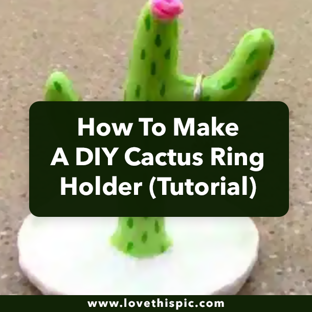 How To Make A DIY Cactus Ring Holder (Tutorial)