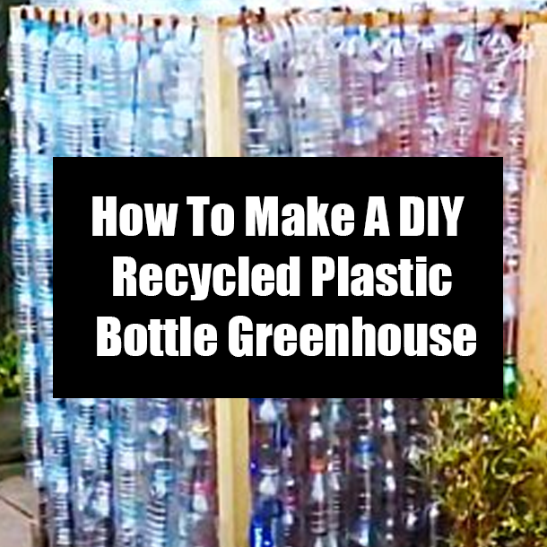 How To Make A DIY Recycled Plastic Bottle Greenhouse