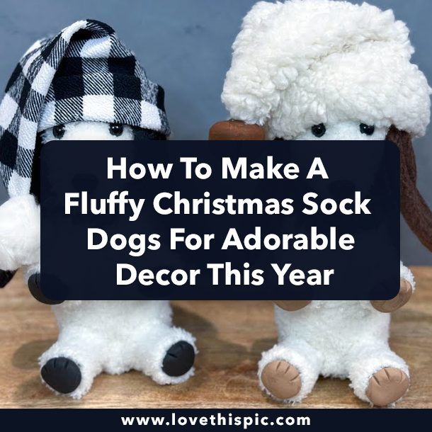 How To Make A Fluffy Christmas Sock Dogs For Adorable Decor This Year