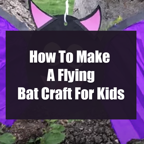 How To Make A Flying Bat Craft For Kids