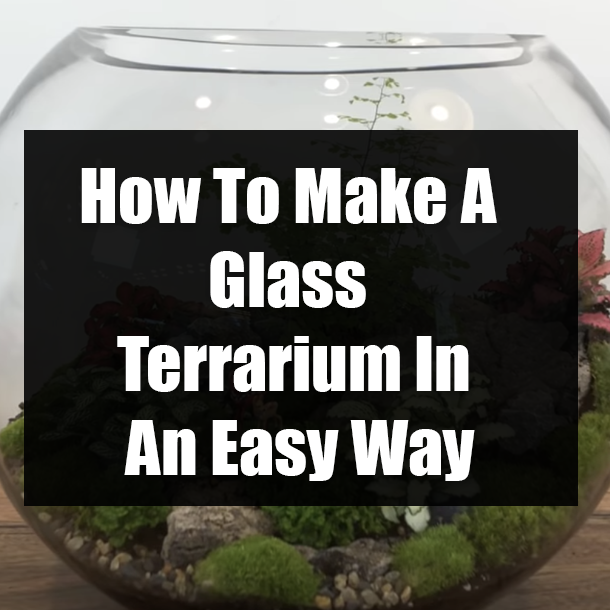 How To Make A Glass Terrarium In An Easy Way