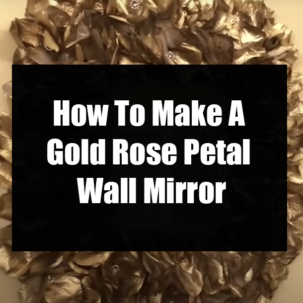How To Make A Gold Rose Petal Wall Mirror