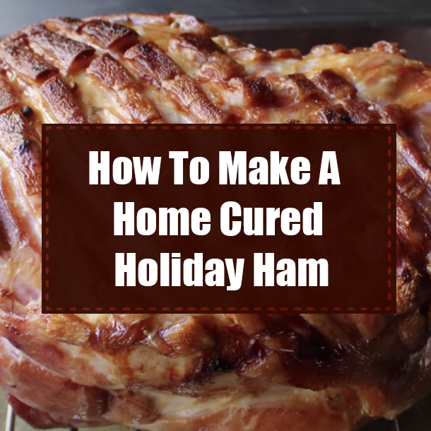 How To Make A Home Cured Holiday Ham