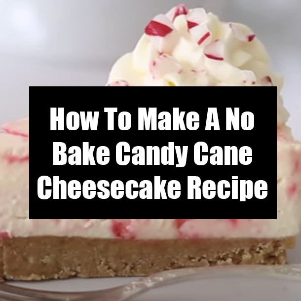 How To Make A No Bake Candy Cane Cheesecake Recipe