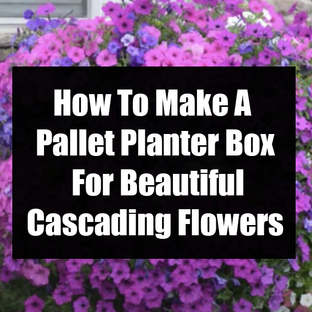 How To Make A Pallet Planter Box for Beautiful Cascading Flowers