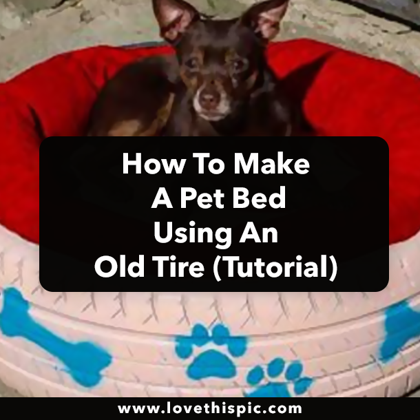 How To Make A Pet Bed Using An Old Tire (Tutorial)