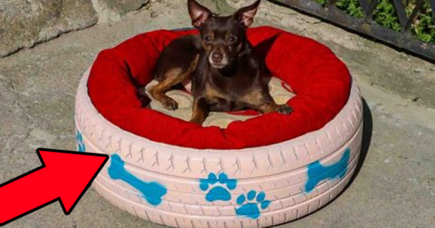 How To Make A Pet Bed Using An Old Tire (Tutorial) - picture 2