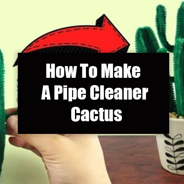 How To Make A Pipe Cleaner Cactus