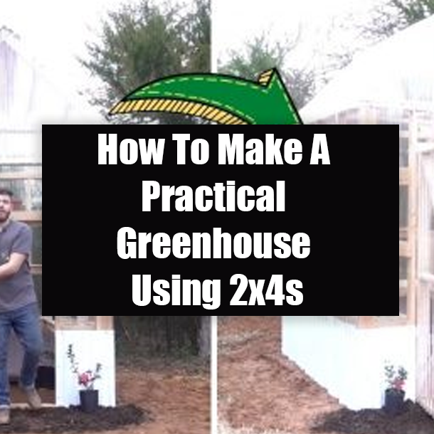 How To Make A Practical Greenhouse Using 2x4s