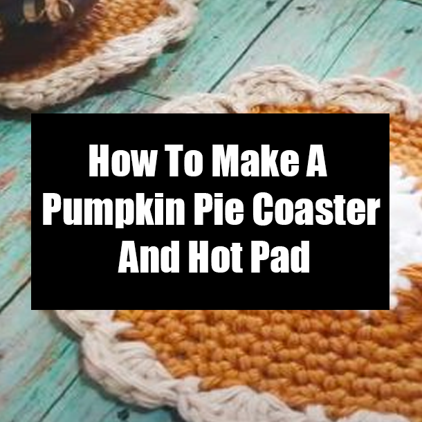 How To Make A Pumpkin Pie Coaster And Hot Pad