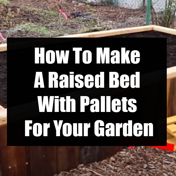 How To Make A Raised Bed With Pallets For Your Garden