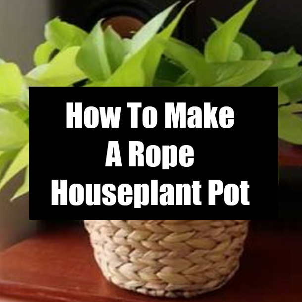 How To Make A Rope Houseplant Pot