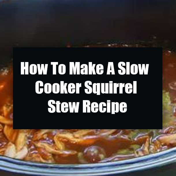 How To Make A Slow Cooker Squirrel Stew Recipe