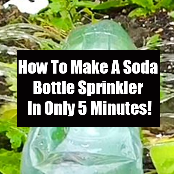 How To Make A Soda Bottle Sprinkler In Only 5 Minutes!