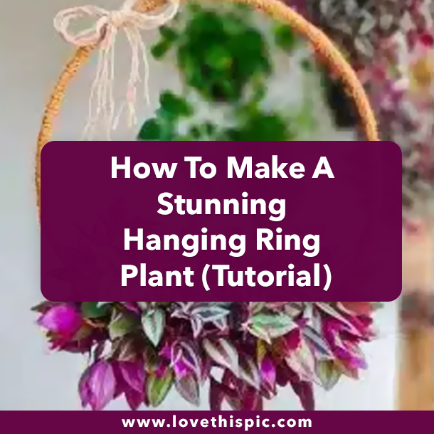 How To Make A Stunning Hanging Ring Plant (Tutorial)