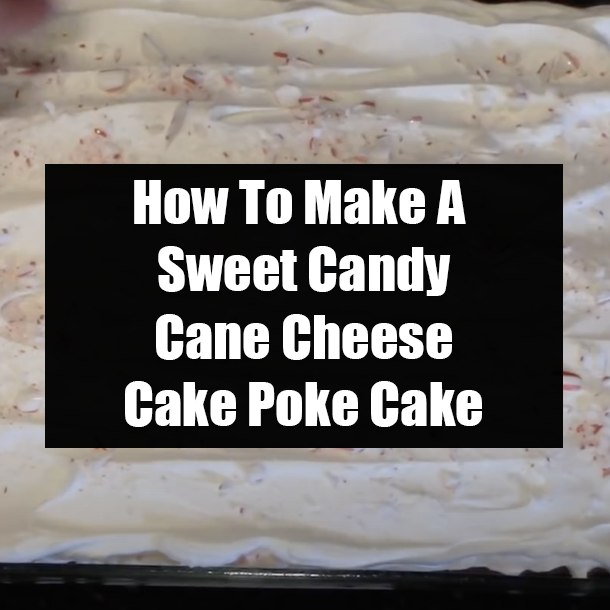 How To Make A Sweet Candy Cane Cheese Cake Poke Cake