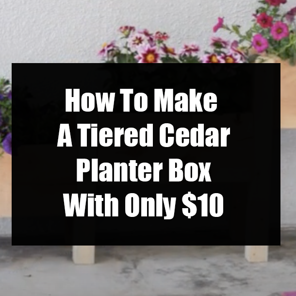How To Make A Tiered Cedar Planter Box With Only $10