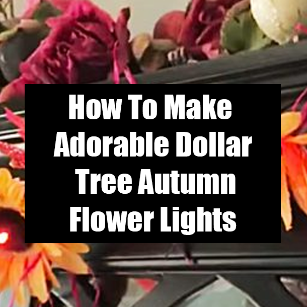 How To Make Adorable Dollar Tree Autumn Flower Lights