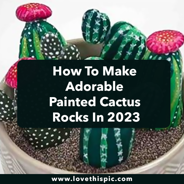 How To Make Adorable Painted Cactus Rocks In 2023