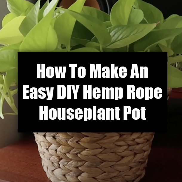 How To Make An Easy DIY Hemp Rope Houseplant Pot