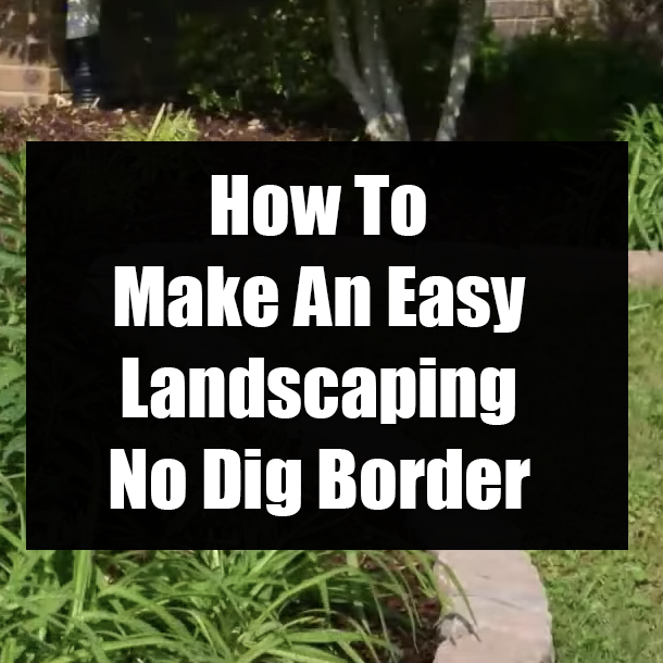 How To Make An Easy Landscaping No Dig Border