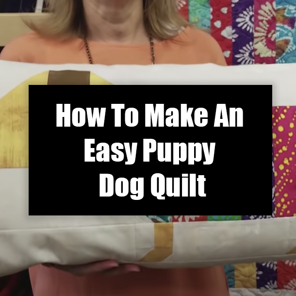 How To Make An Easy Puppy Dog Quilt