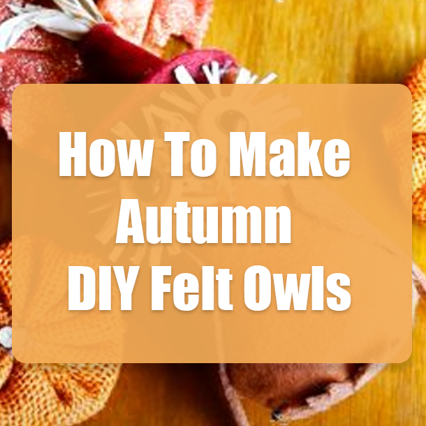 How To Make Autumn DIY Felt Owls