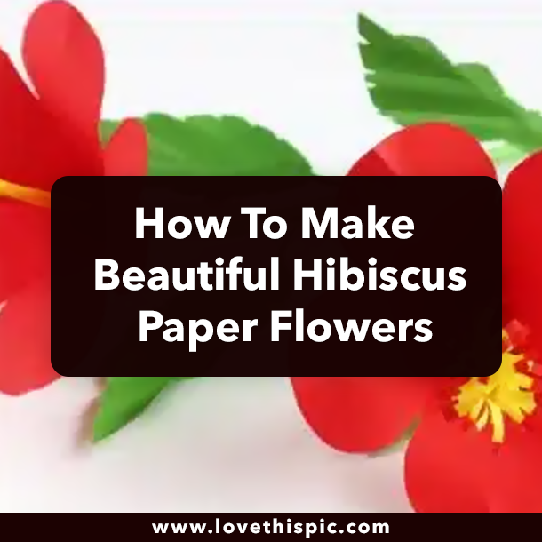 How To Make Beautiful Hibiscus Paper Flowers