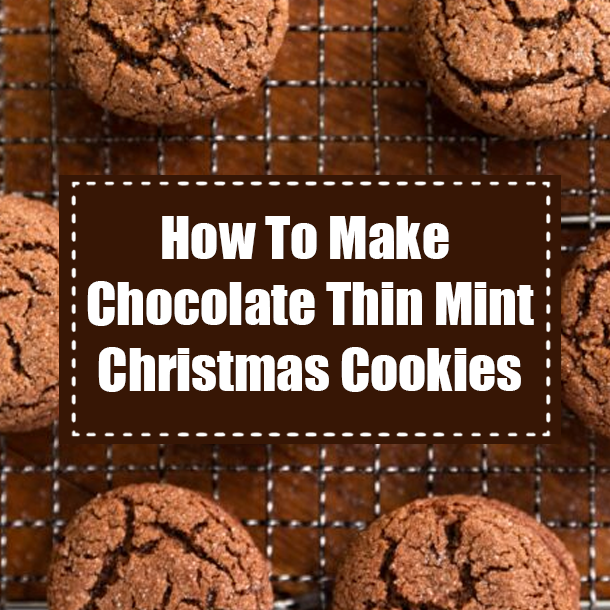 How To Make Chocolate Thin Mint Christmas Cookies