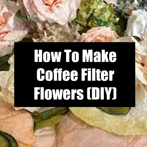 How To Make Coffee Filter Flowers (DIY)