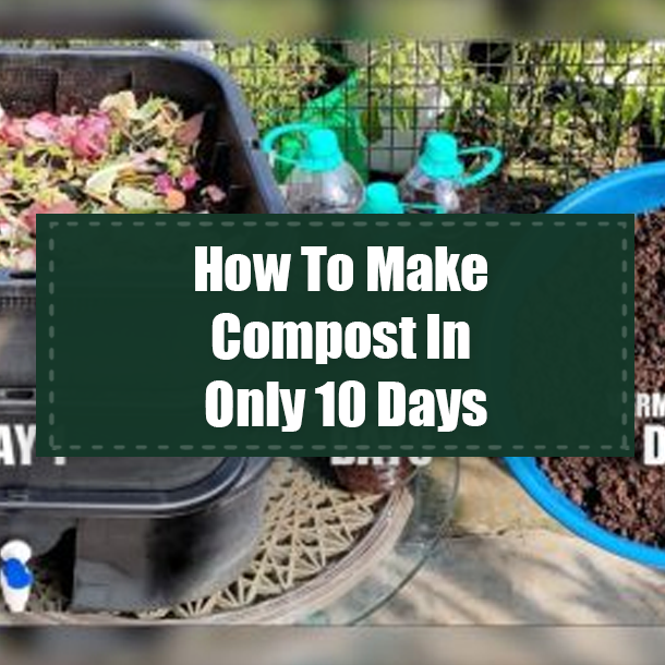 How To Make Compost In Only 10 Days
