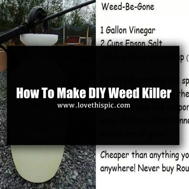 How To Make DIY Weed Killer