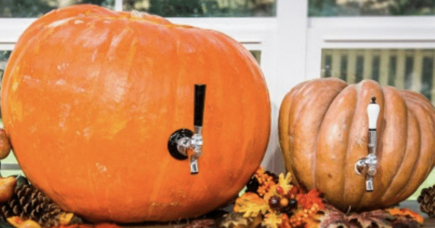 How To Make Easy DIY Pumpkin Kegs - picture 2