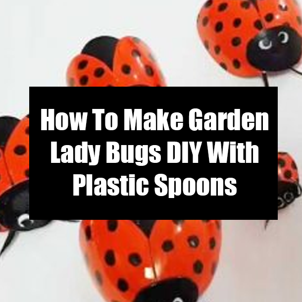 How To Make Garden Lady Bugs DIY With Plastic Spoons