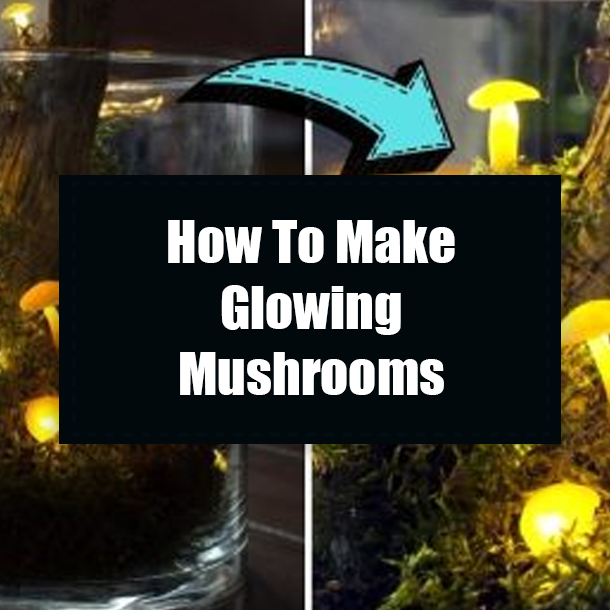 How To Make Glowing Mushrooms