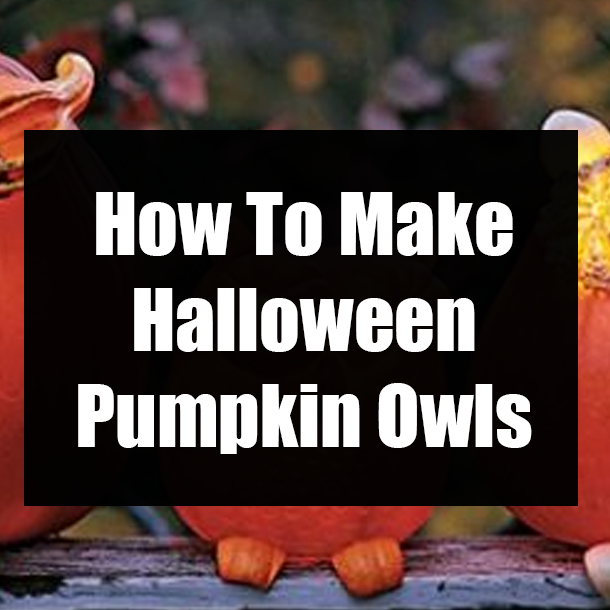How To Make Halloween Pumpkin Owls