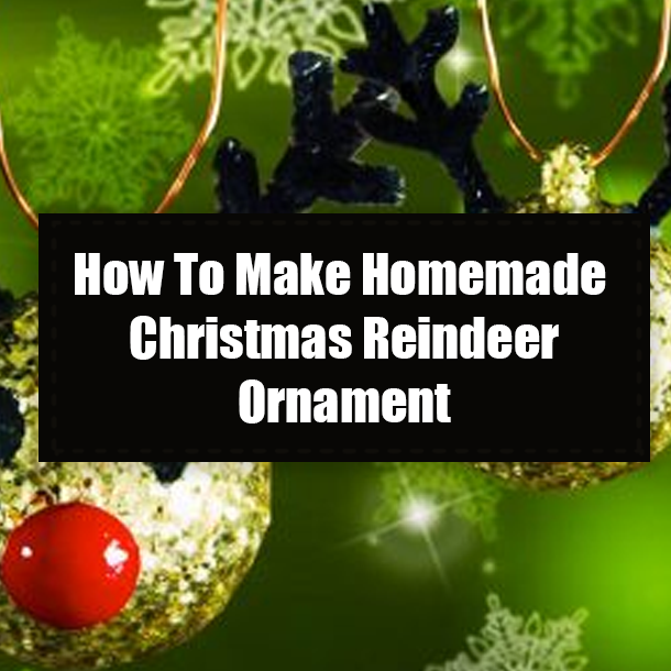 How To Make Homemade Christmas Reindeer Ornament