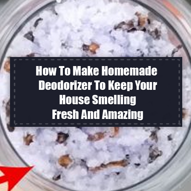 How To Make Homemade Deodorizer To Keep Your House Smelling Fresh And Amazing